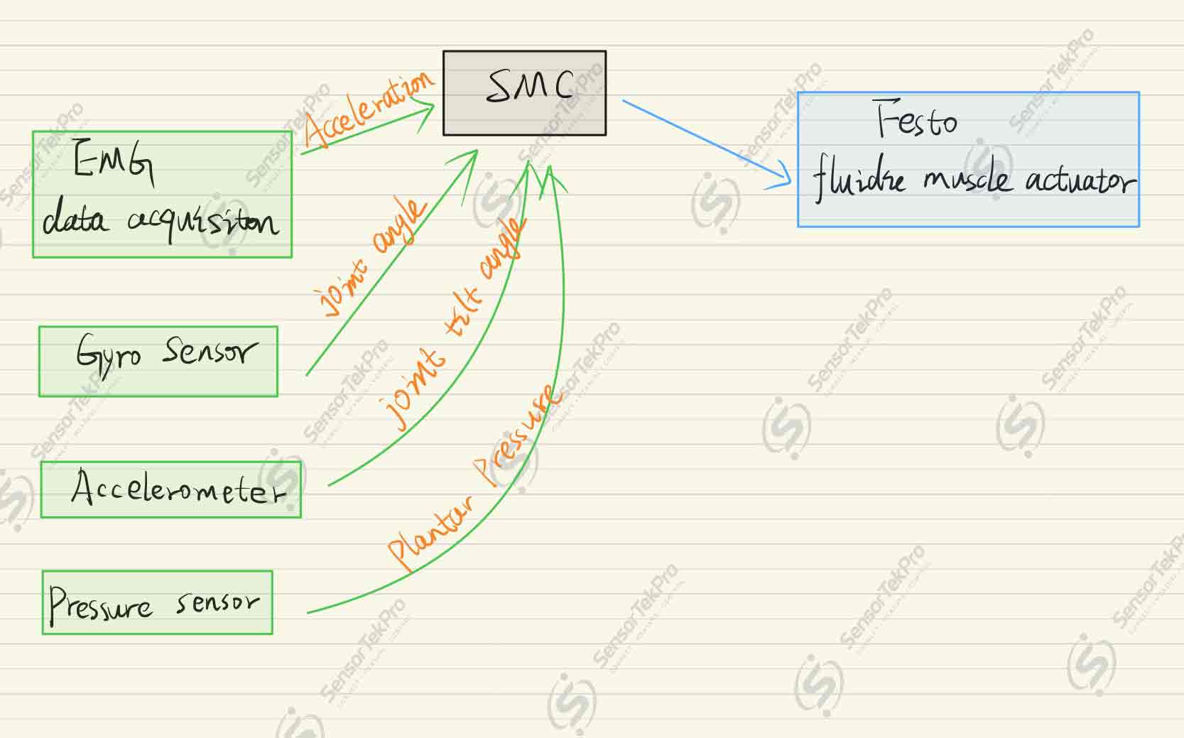 EMG Signal Reconstruction and Verification for Lower-Limb Exoskeleton — system architecture diagram