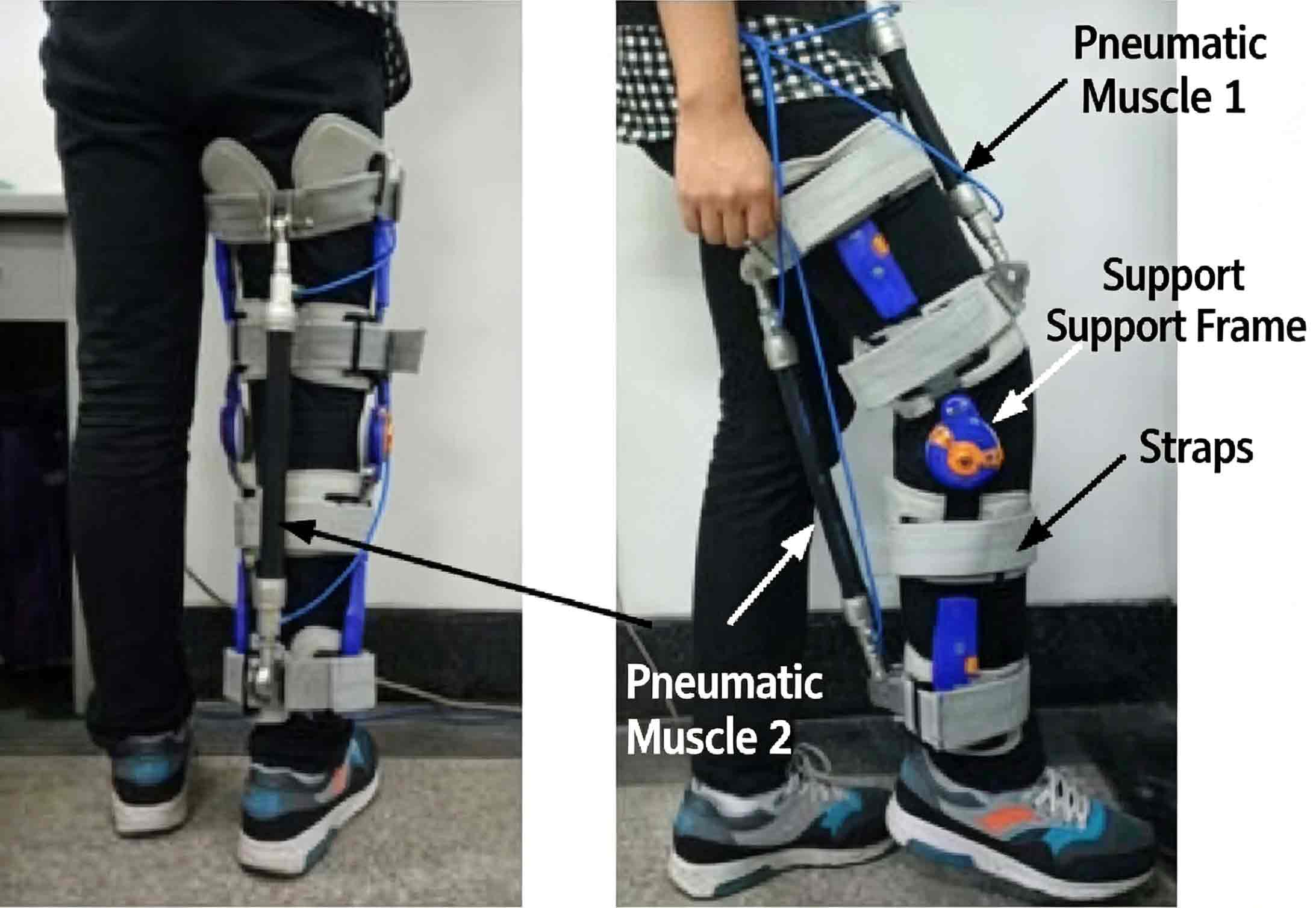 EMG Signal Reconstruction and Verification for Lower-Limb Exoskeleton